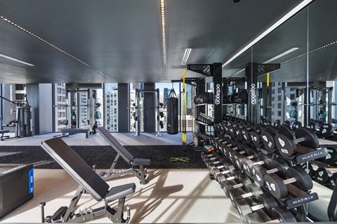 A gym with a row of dumbbells and benches.