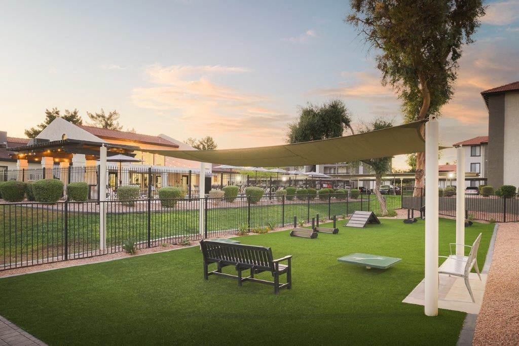 a garden with a bench and a fence