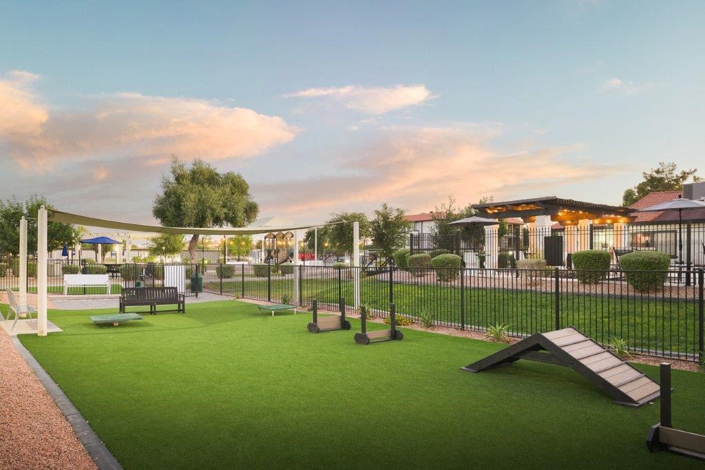 a dog park with agility courses and a fence