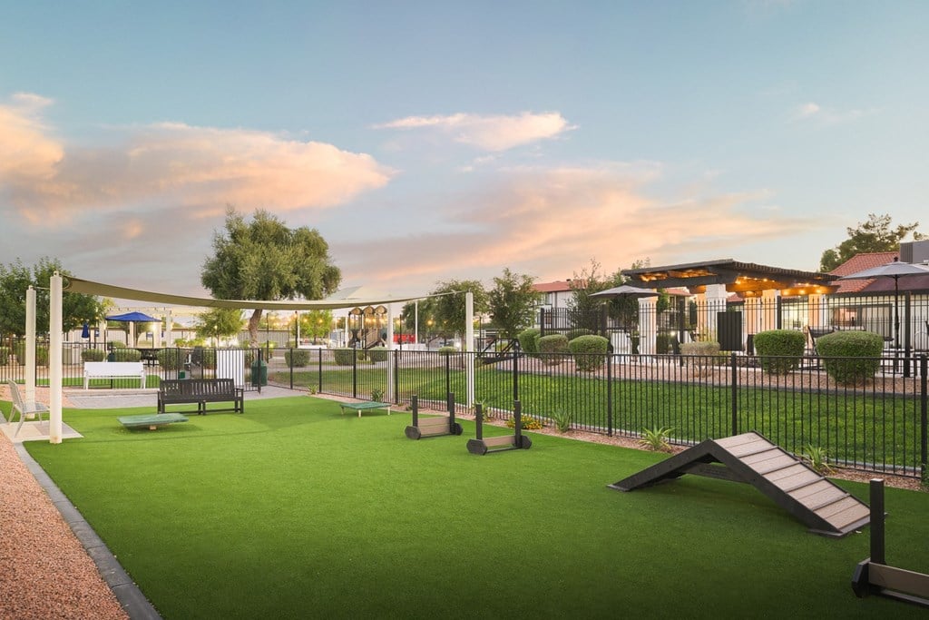 Reveal  dog park with agility courses and agility ropes