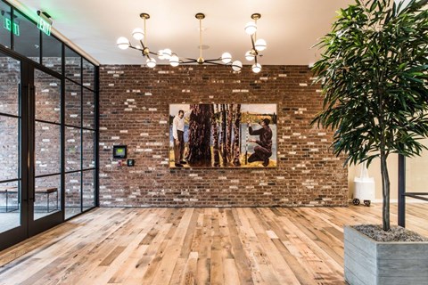 230 Ash Apartments Lobby Entrance