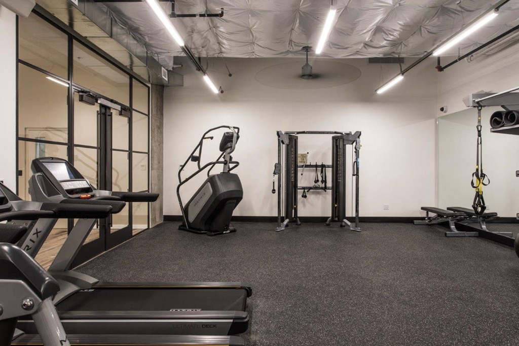 230 Ash Apartments Fitness Center