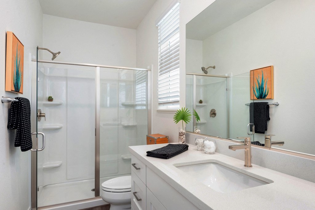 a bathroom with a sink and a shower and a mirror