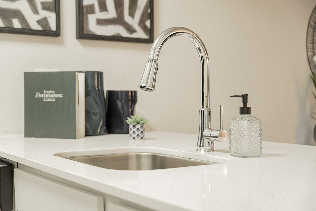 a kitchen sink with a chrome faucet and a bottle of soap on it