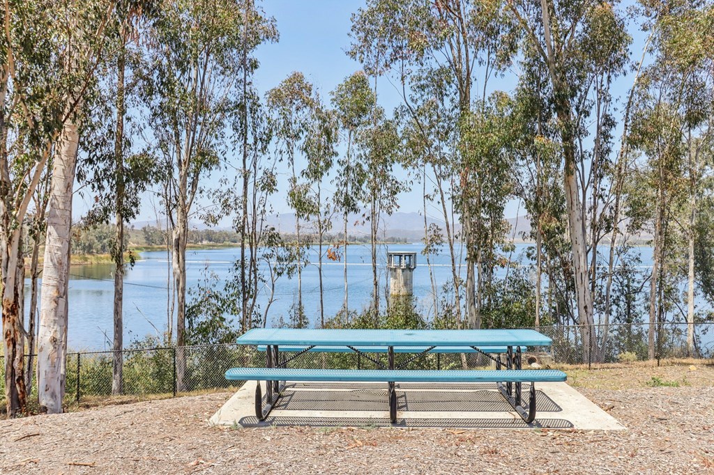 A blue picnic table is set up in front of a lake with trees in the background.