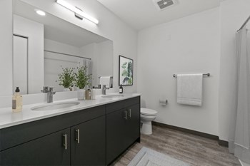 Imber at Union Mills Apartments Bathroom - Photo Gallery 10