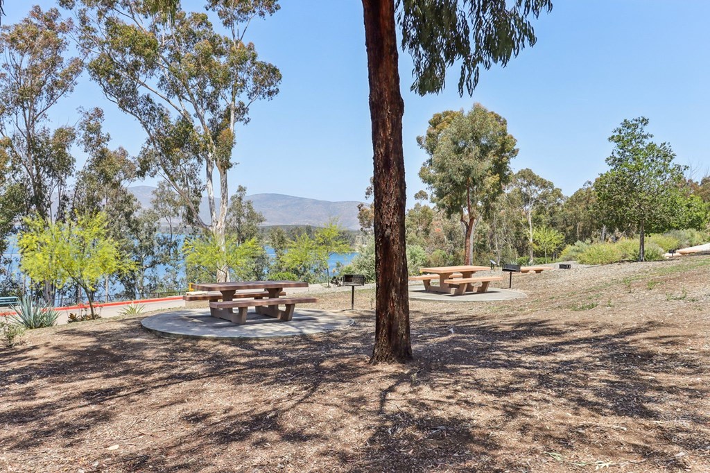 A picnic table is surrounded by trees in a park.