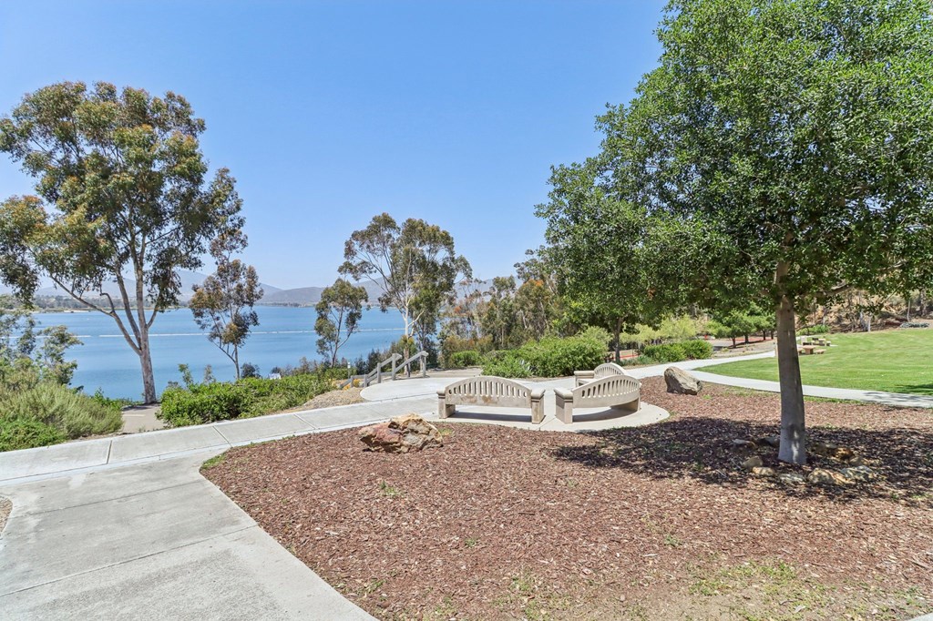 A park with a bench and a tree in the foreground and a body of water in the background.