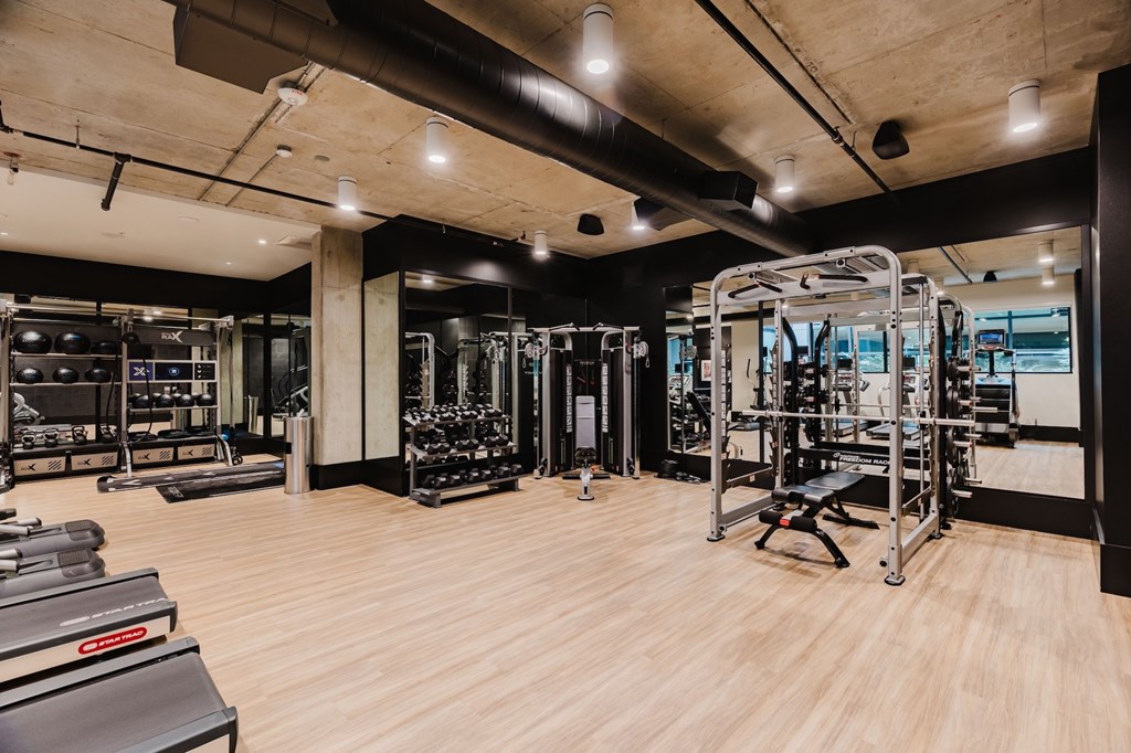 A gym with treadmills, weights, and exercise equipment.