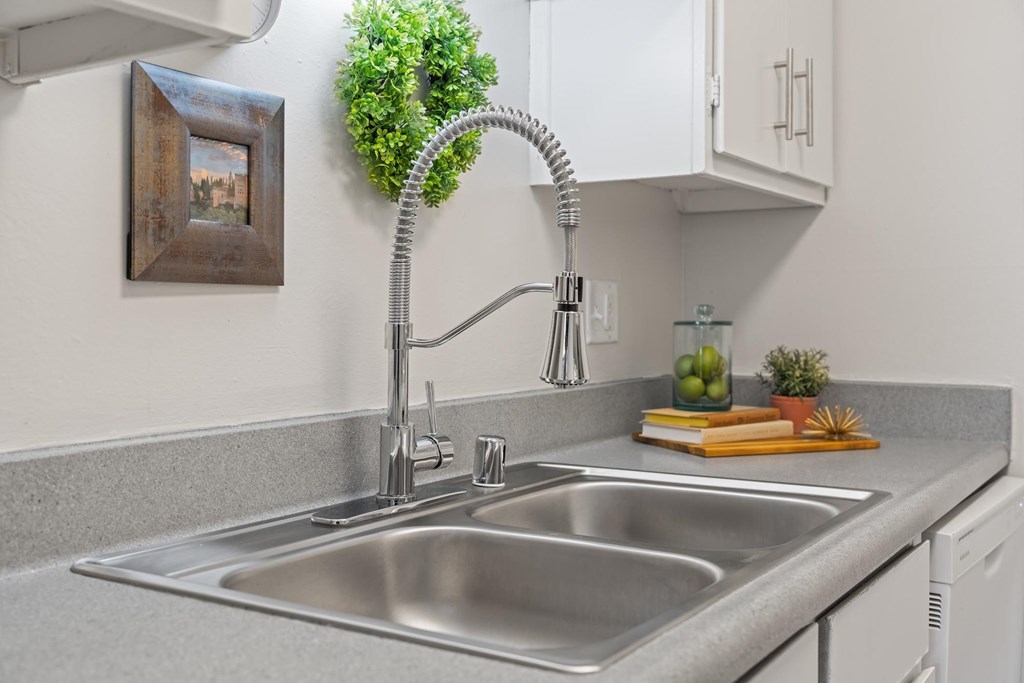 A kitchen sink with a silver faucet and a green plant on the counter.