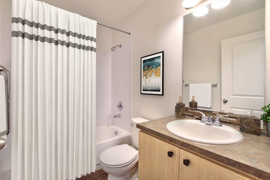a bathroom with a shower curtain and a sink and a toilet