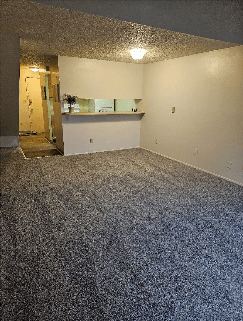 Ventana Apartment living room