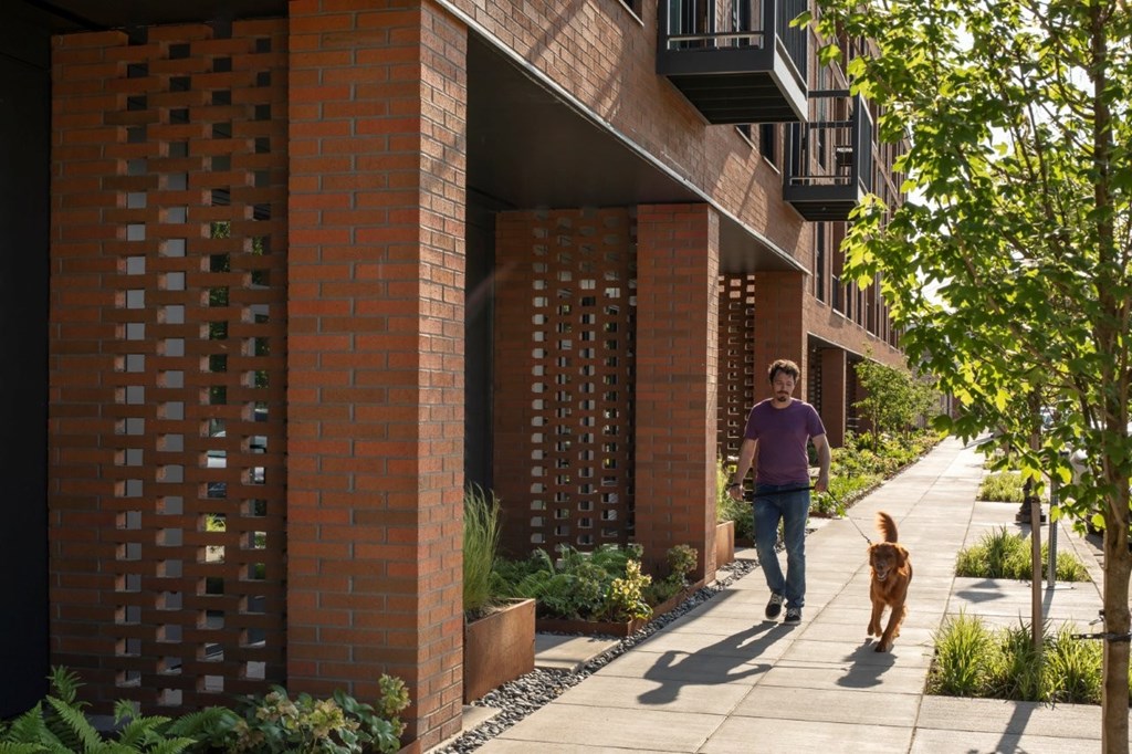 Arts Plaza Gresham Oregon Apartments A man walking his dog on a sidewalk in front of a brick building.