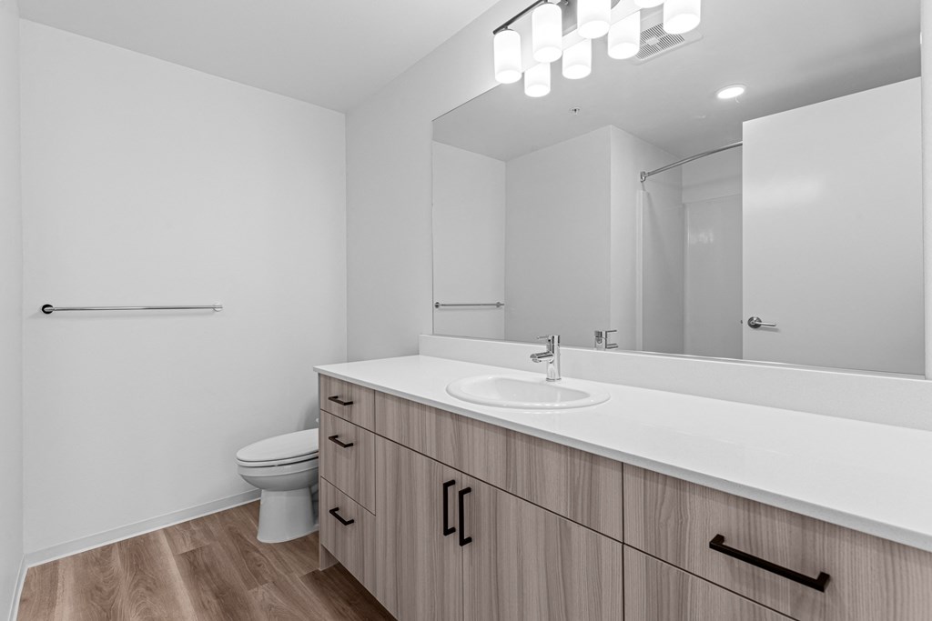 a bathroom with a sink and a toilet