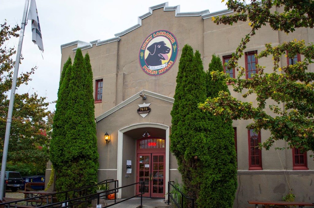 Multnomah Village Portland, Oregon Labrador Public House