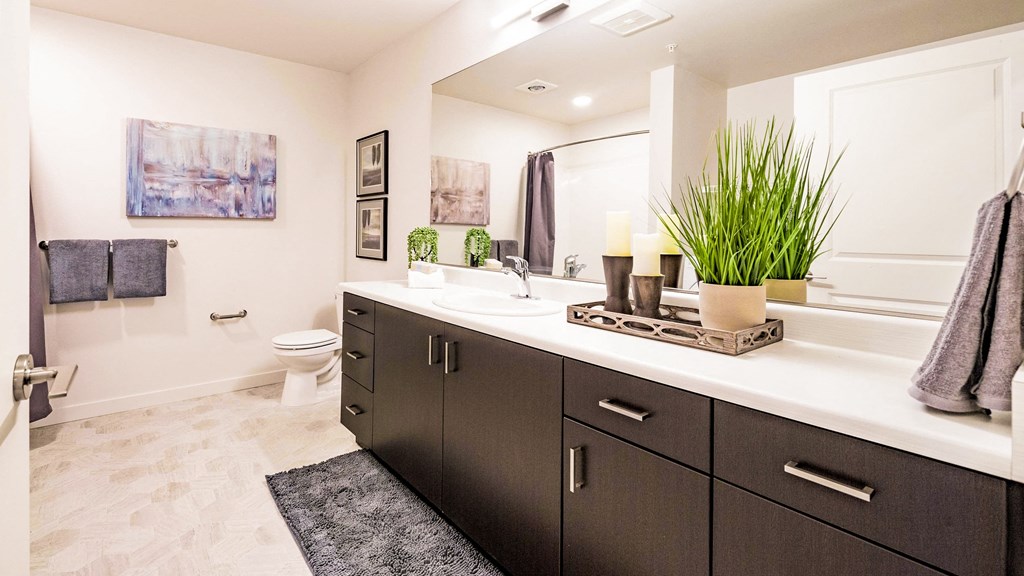 1 Bedroom Bathroom with Mirror and sink