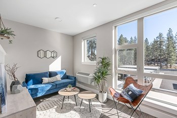 TheNest_Bend_OR_Interior_Model_206_LivingRoom_Windows
