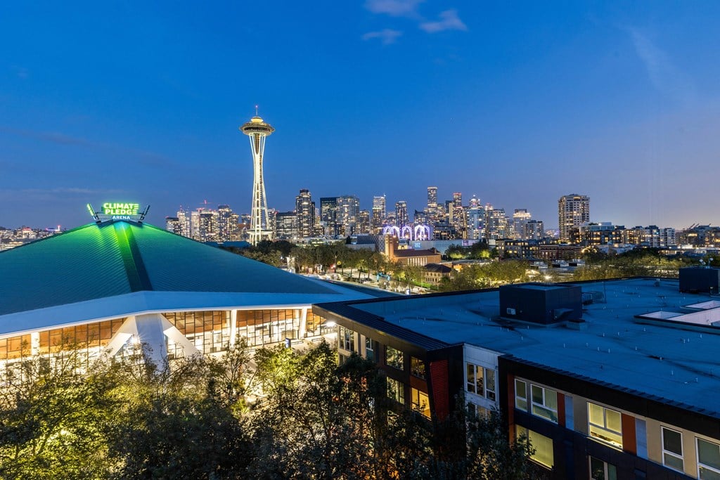 a view of the seattle space needle at night