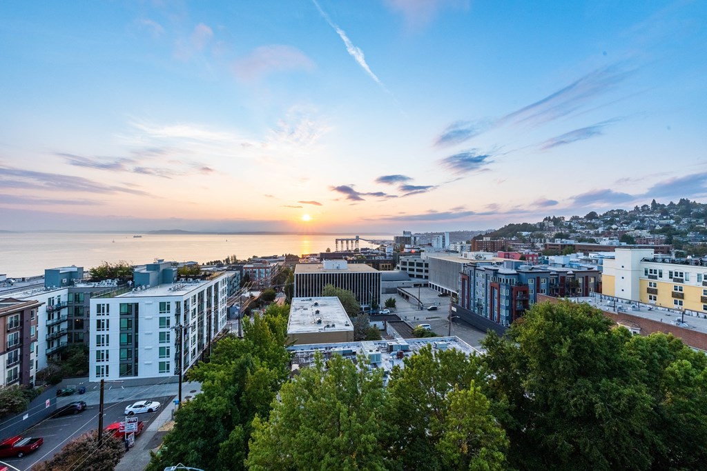 aerial view, elliott bay