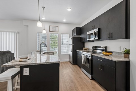A modern kitchen with black cabinets and stainless steel appliances.