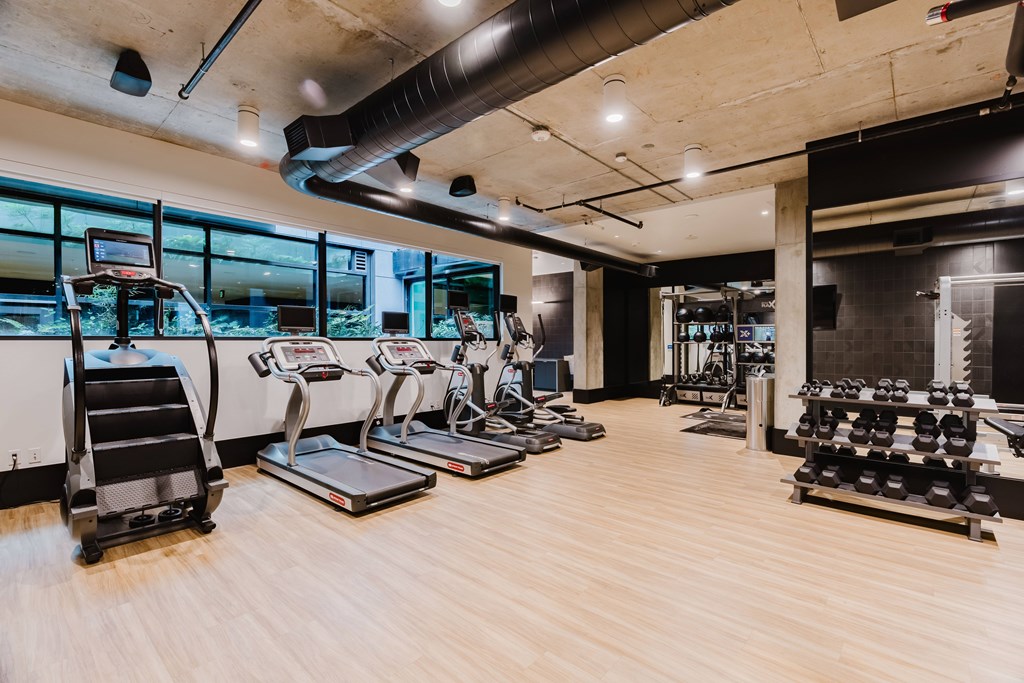 A gym with treadmills, elliptical machines, and weights.