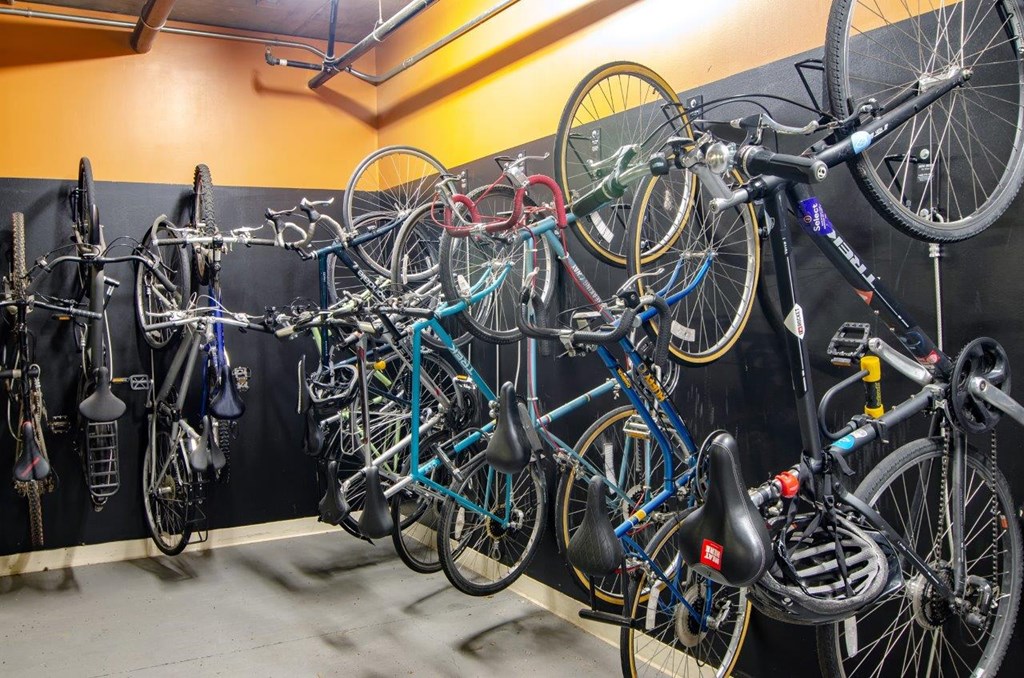 A wall of bicycles are parked in a bike shop.