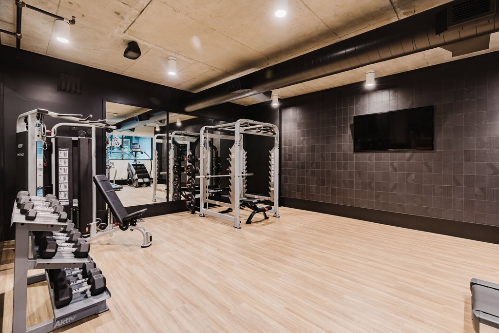 A gym with a variety of equipment including a squat rack, bench, and dumbbells.