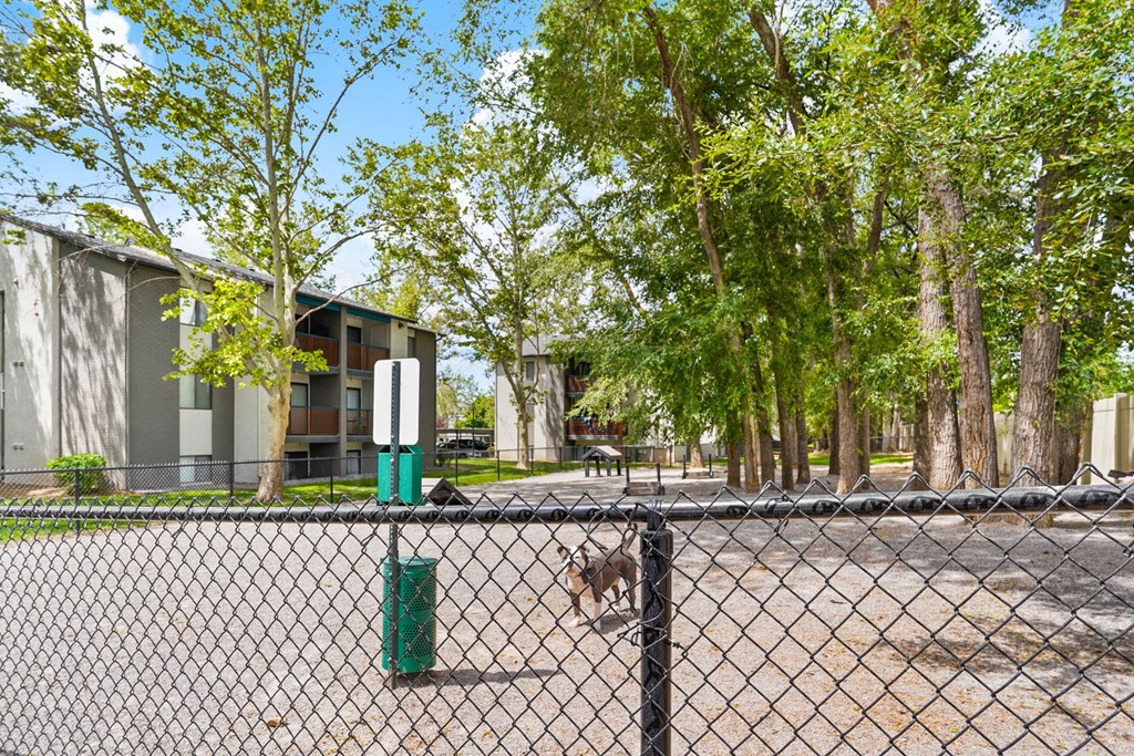 Clover Creek Fenced Dog Park