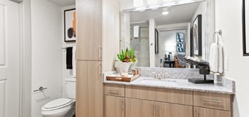 Northside at the Woodlands Bathroom with Large Vanity and Storage - Photo Gallery 4