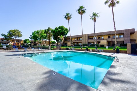 A large swimming pool surrounded by palm trees and apartment buildings.