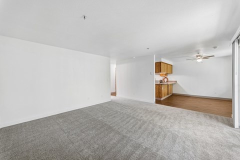 A room with a grey carpet and a ceiling fan.