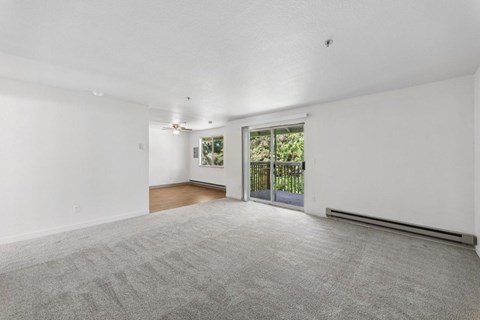 A spacious room with a grey carpet and white walls.