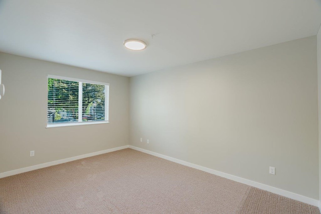 A room with a window and a carpeted floor.