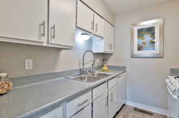 The Park at Idlewild Apartments Kitchen and Sink - Photo Gallery 3
