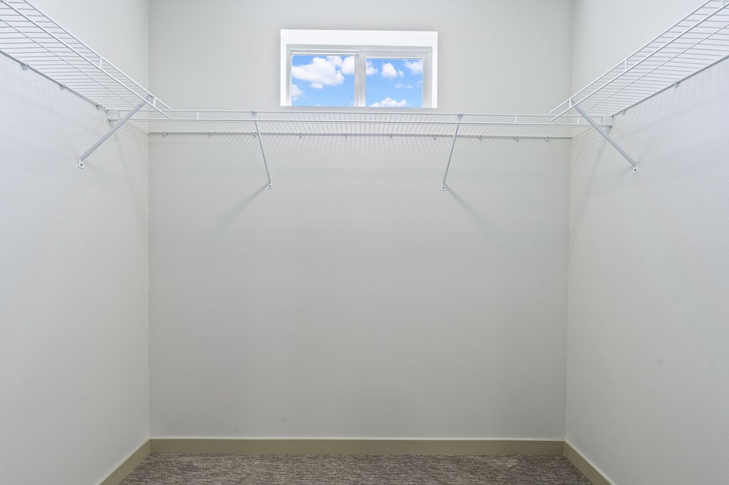 Empty white room with a window and hangers on the wall.