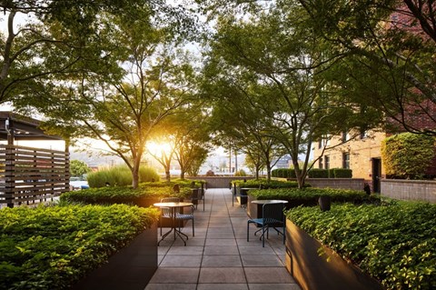 A sunny day in a park with tables and chairs.