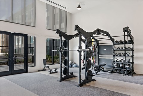 A black home gym with a squat rack, bench, and weights.