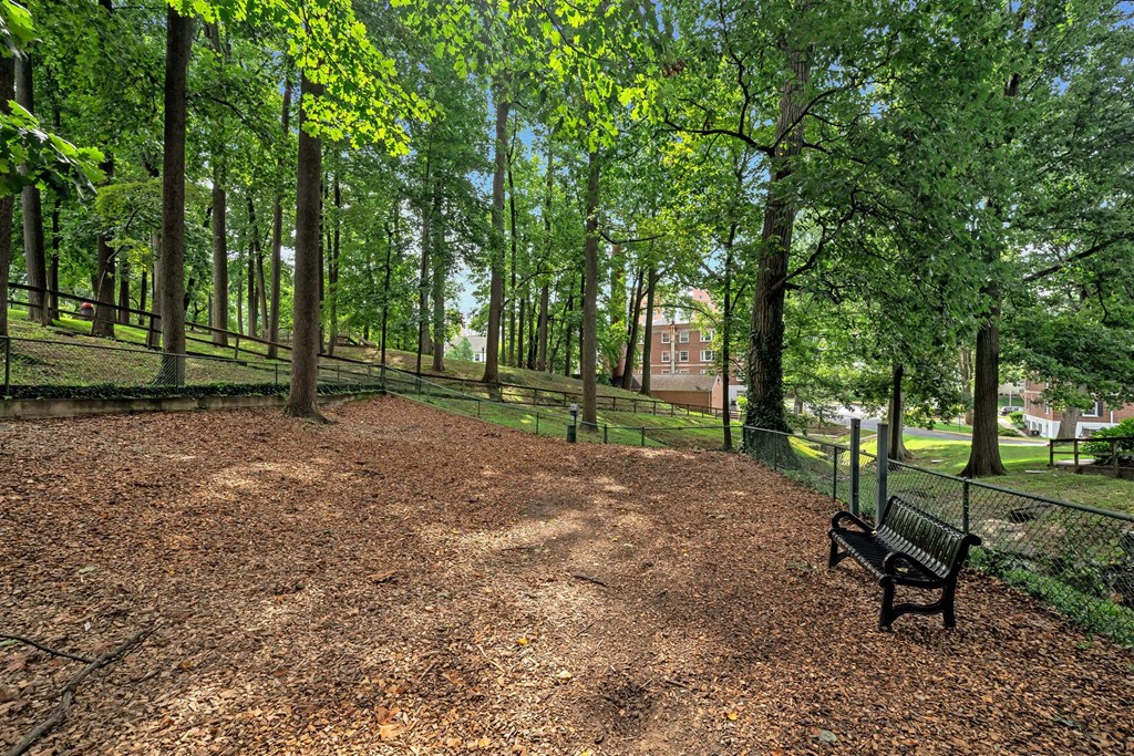 Falkland Chase Apartments in Silver Spring, Maryland Dog Park