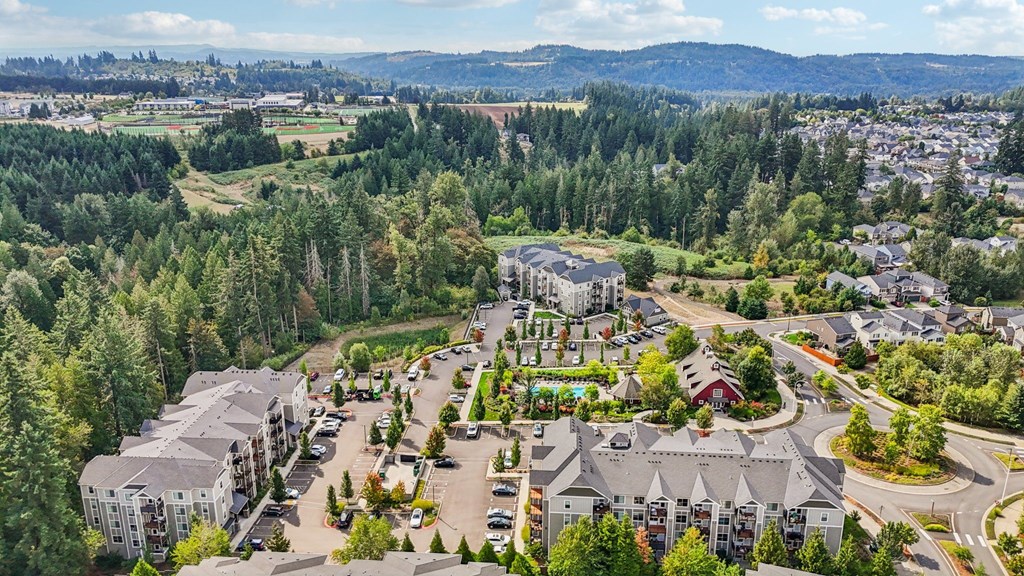 A bird's eye view of a residential area with houses and trees.