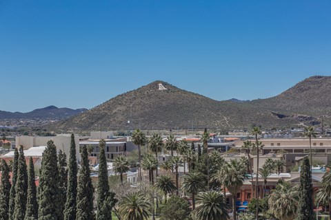 A mountain with a white peak rises over a town with palm trees at Herbert Residential, Tucson, 85701
