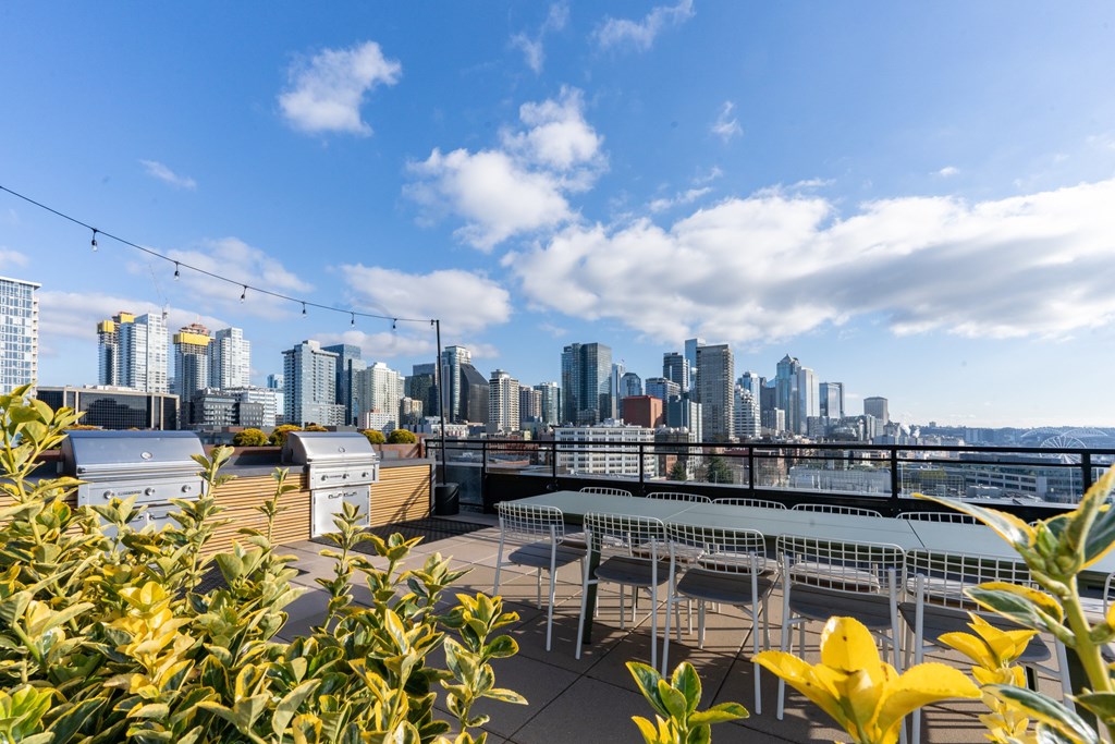 A city skyline is visible in the distance behind a rooftop patio.