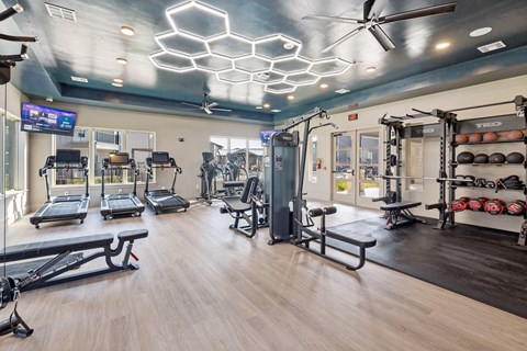 A gym with a variety of equipment including treadmills, weight racks, and a bench press.