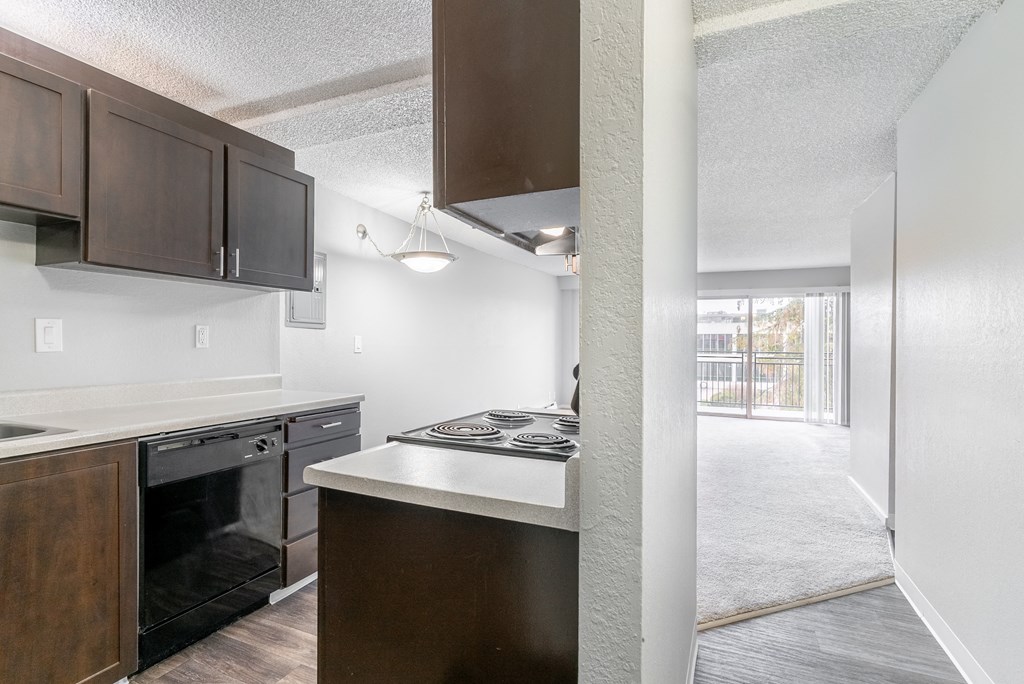 Luxe at Meridian Apartments Kitchen and Living Room