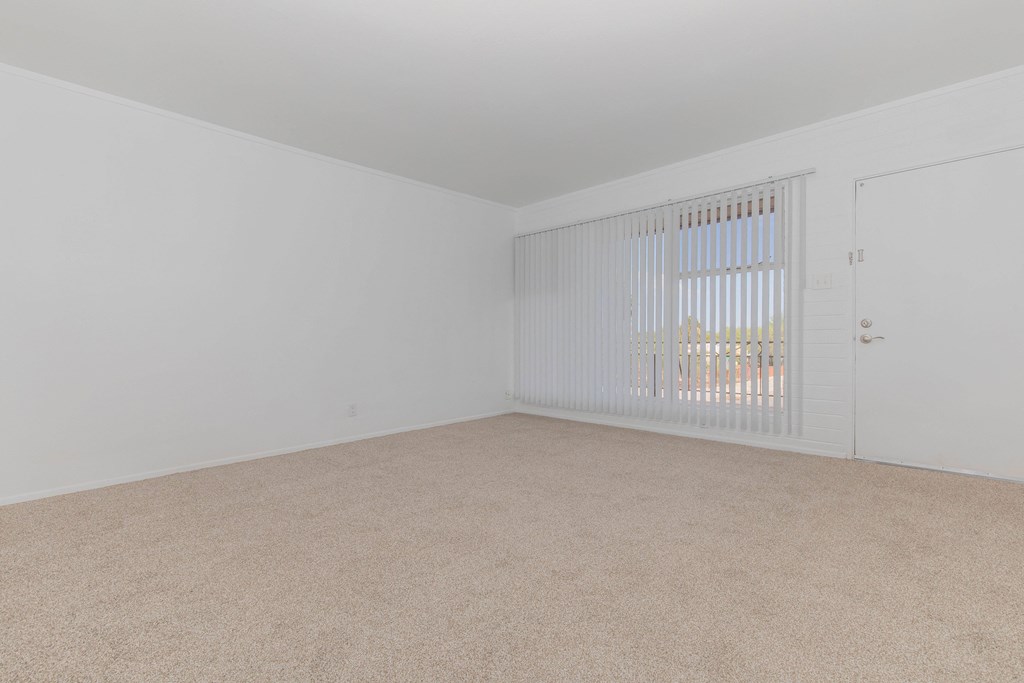 A room with a carpeted floor and a window with blinds.