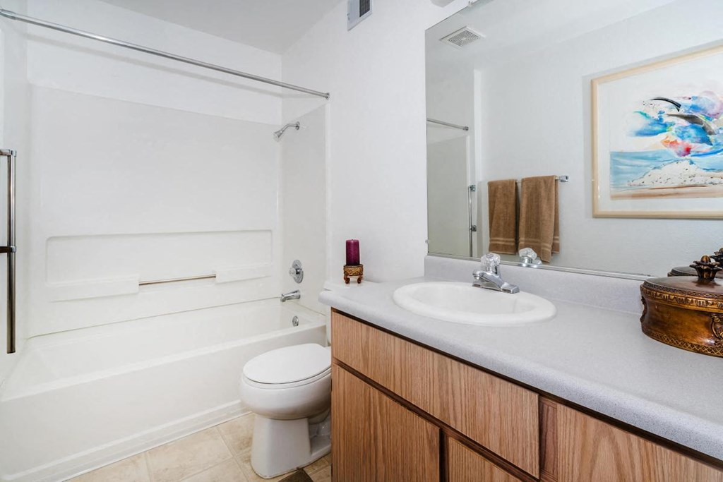 Sagecliff  bathroom with a sink toilet and bathtub
