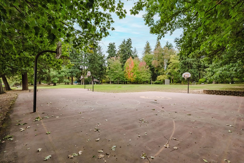 A basketball court surrounded by trees in a park.