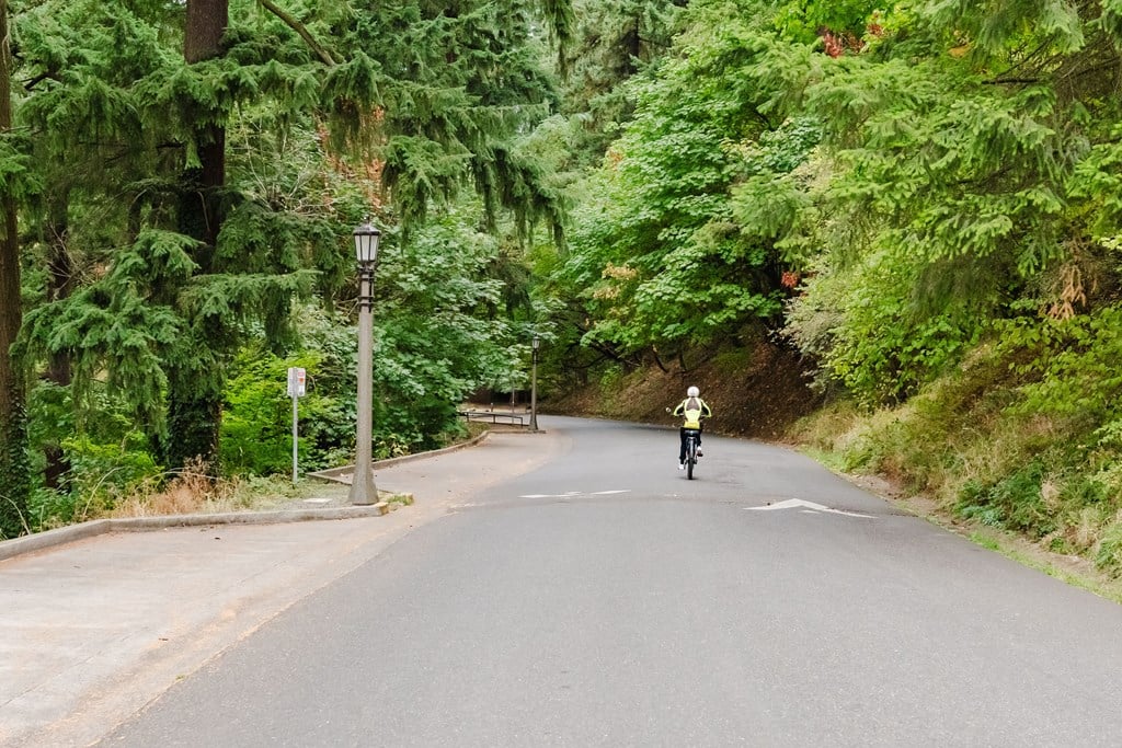 A person riding a bicycle down a tree-lined road.