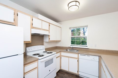 1201 NE 8Th Street Studio Apartment for Rent
