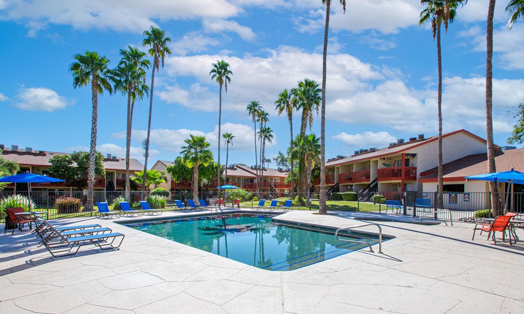 A pool surrounded by palm trees and lounge chairs.