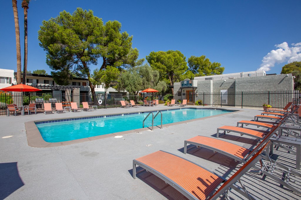 A pool with sun loungers and trees in the background.